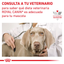 Royal Canin Recovery lata · consulta a tu veterinario