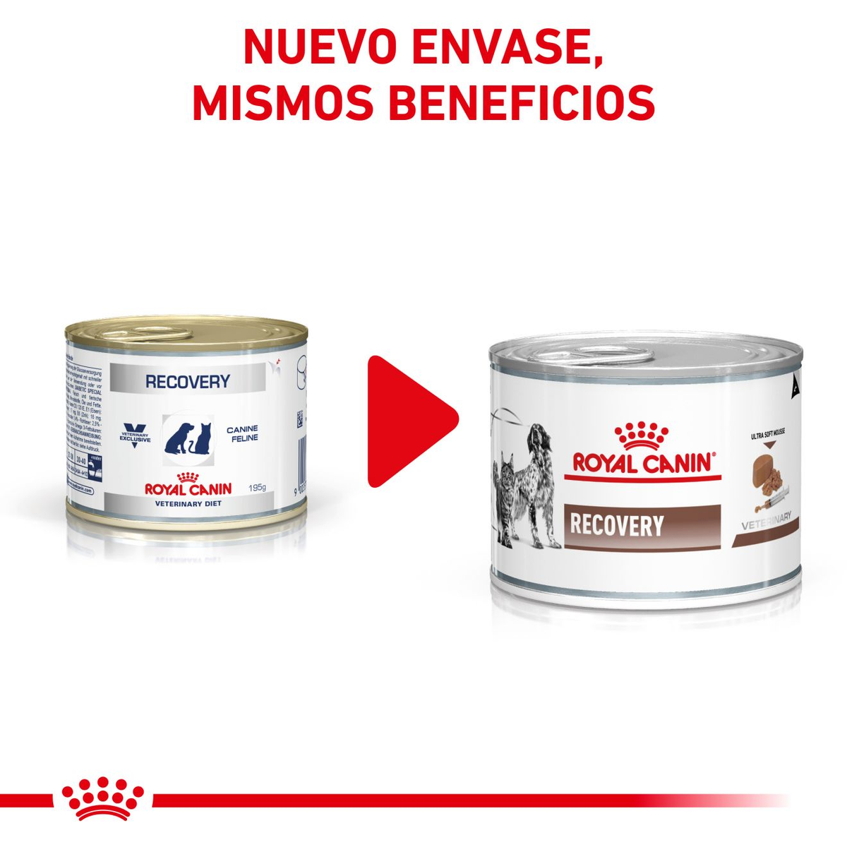 Royal Canin Recovery lata · nuevo envase