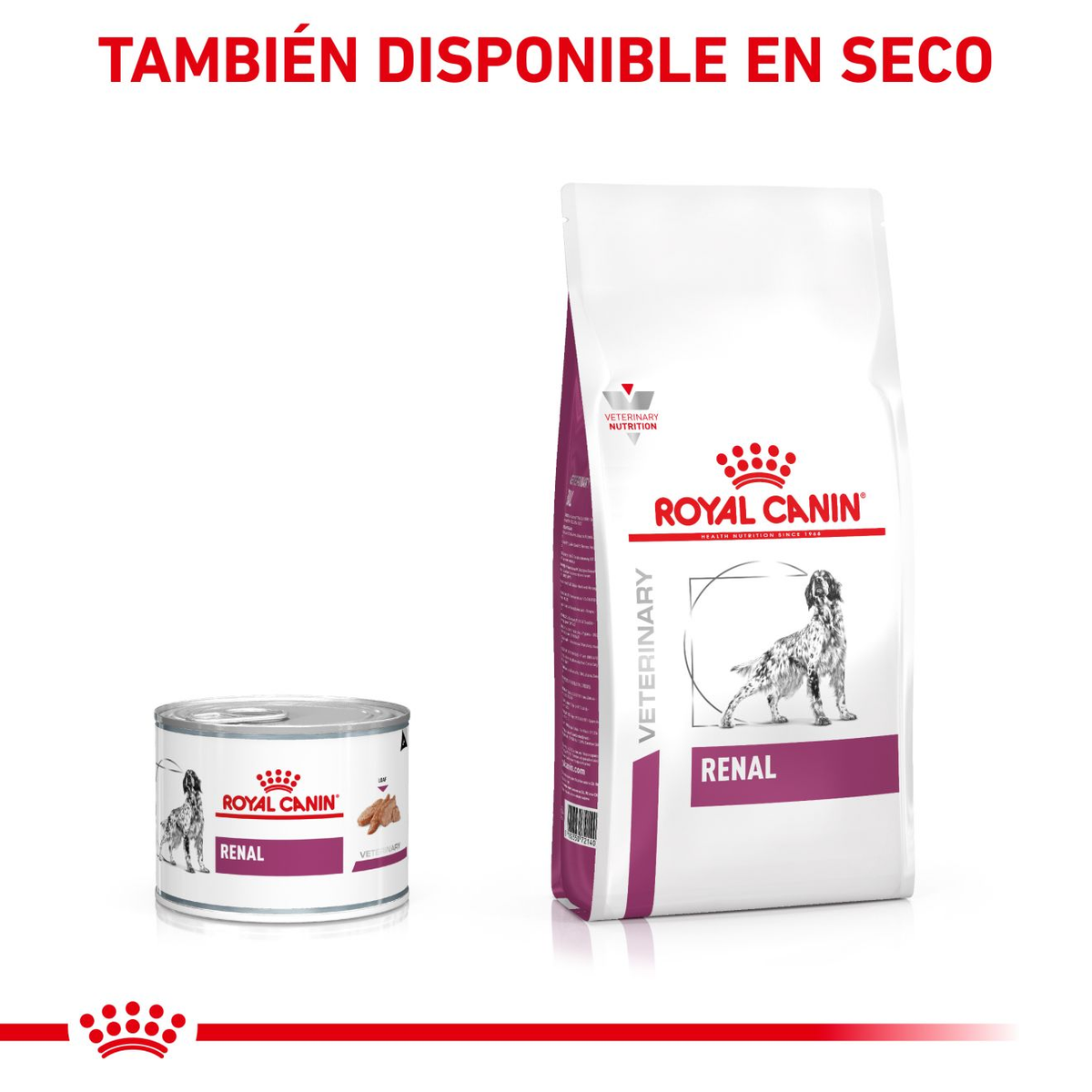 Royal Canin Renal lata para perros · también disponible en seco