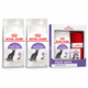 Royal Canin Pack 2 bolsas Sterilised 37 de 2 kg + Pack Sterilised de regalo — imagen referencial generada a partir del afiche del proveedor.