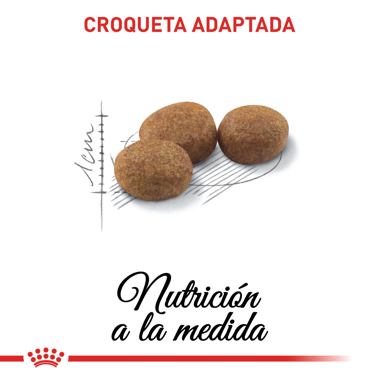 Royal Canin Sterilised 37 · croqueta adaptada