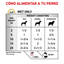 Royal Canin Urinary S/O lata para perros · cómo alimentar a tu perro