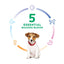 Hill's Science Diet | Alimento seco para perros cachorros Puppy Small Bites. Receta de cordero y arroz.