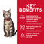 Hill's Science Diet | Alimento seco para gatos adultos Adult. Receta de pollo