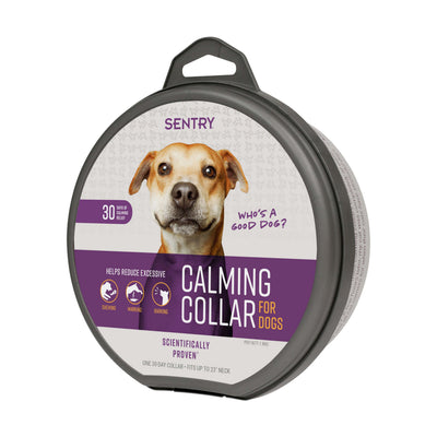 Sentry Collar calmante con feromonas para perros — 1 collar