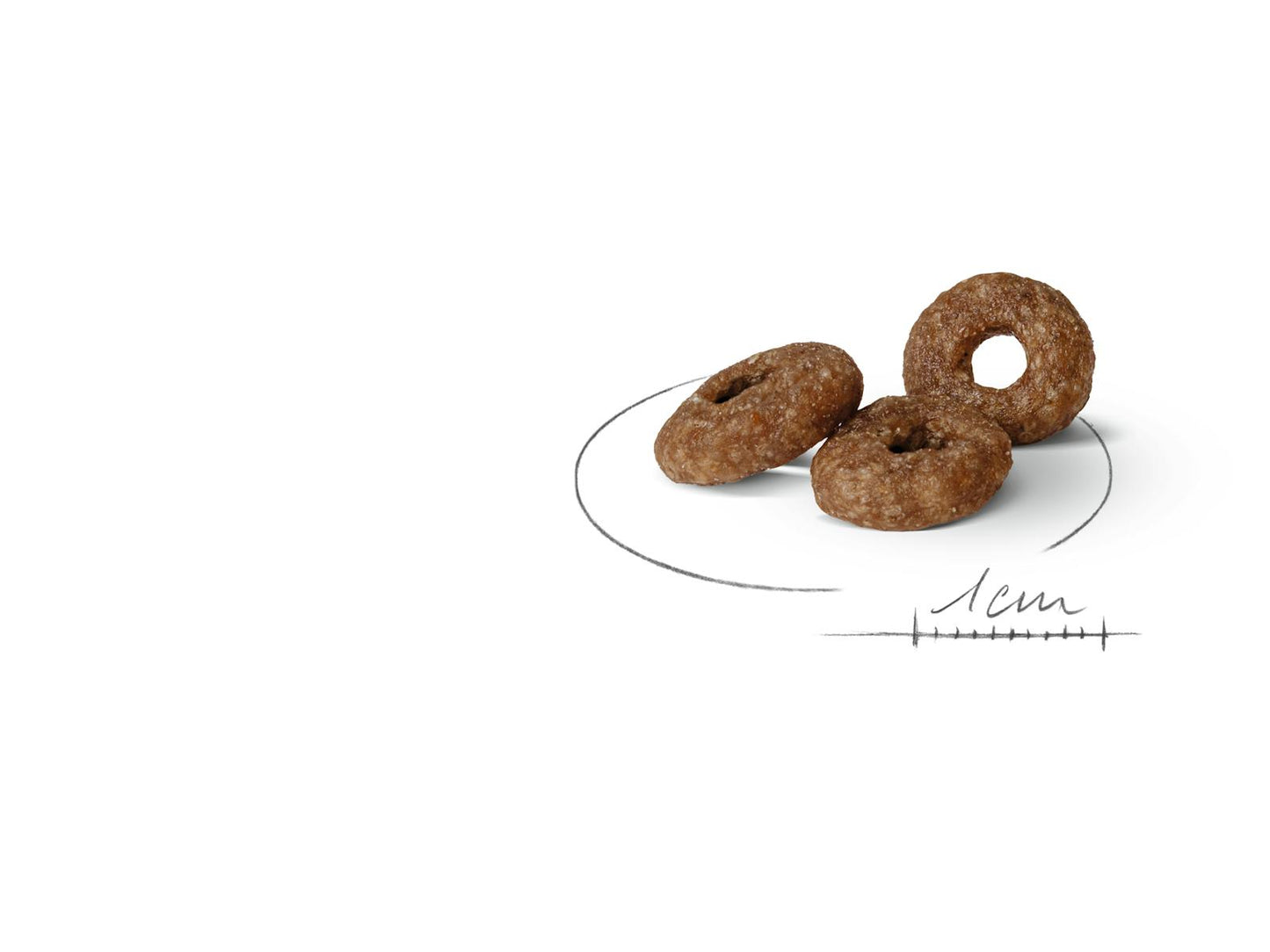 SHN24-MINI_AGE-DRY-KIBBLES-B1