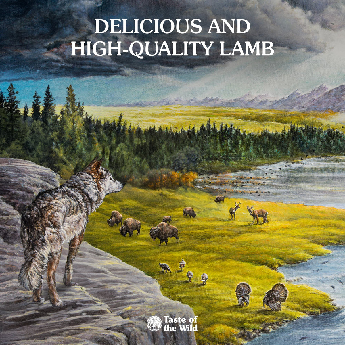 Taste of the Wild | Sierra Mountain cordero en salsa para perros (lata)
