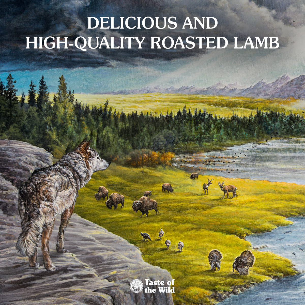 Taste of the Wild | Sierra Mountain todas las edades con cordero asado