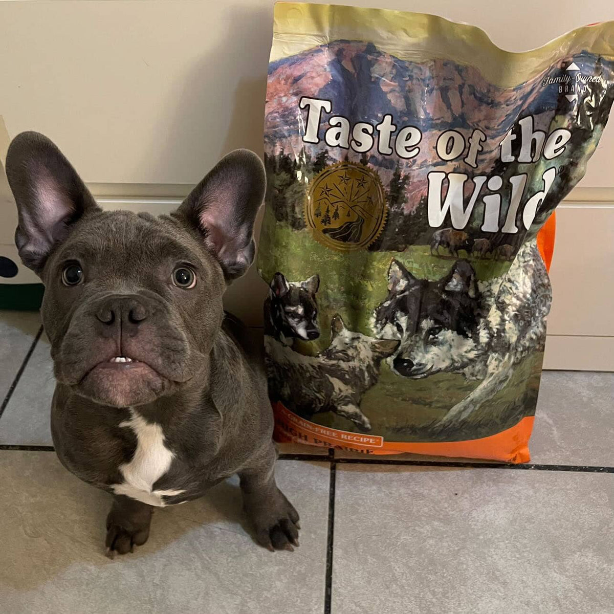 Taste of the Wild | High Prairie cachorros con bisonte y venado asados