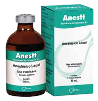 Anestt - imagen principal