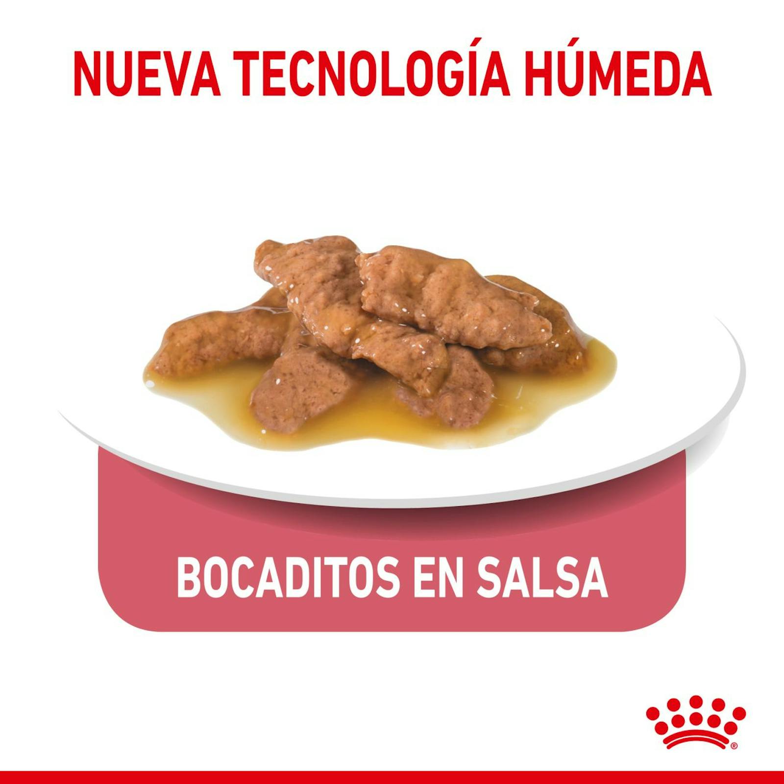 TEXTURA