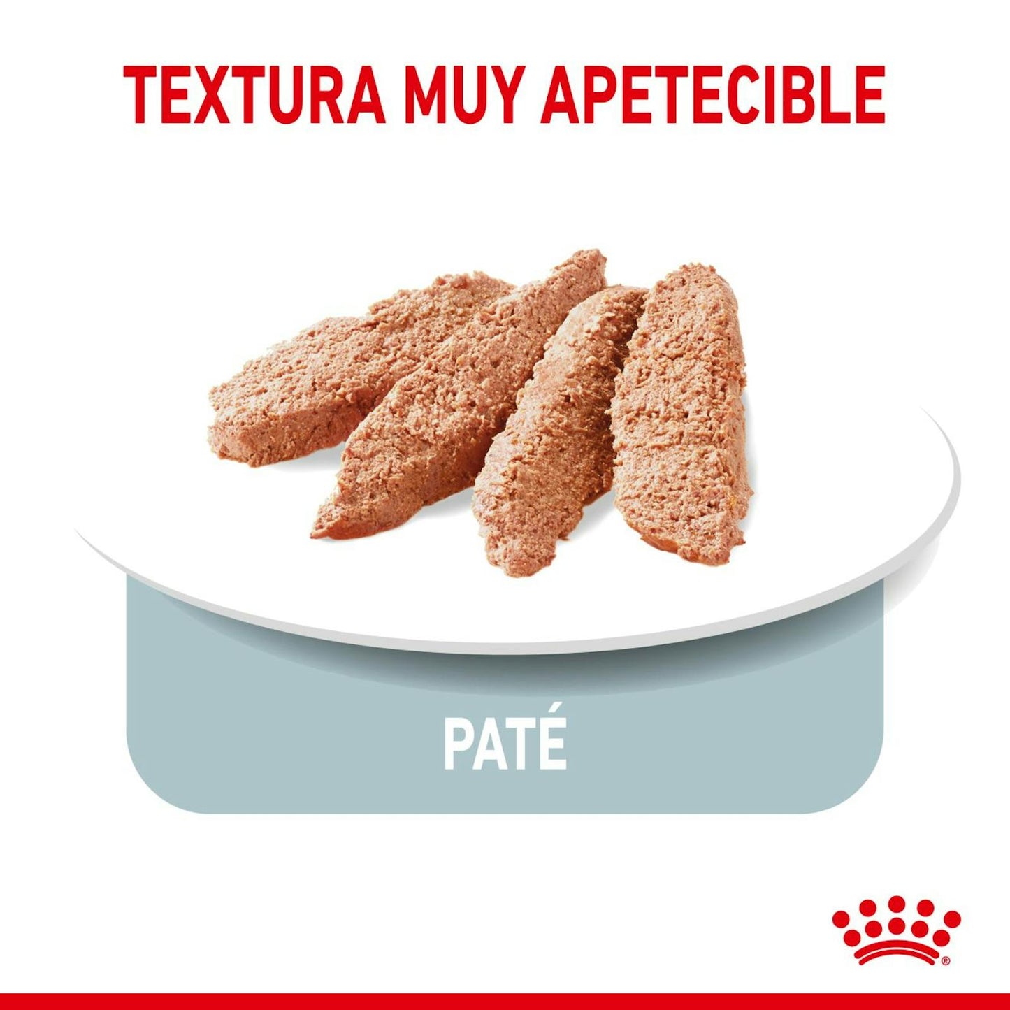 TEXTURA