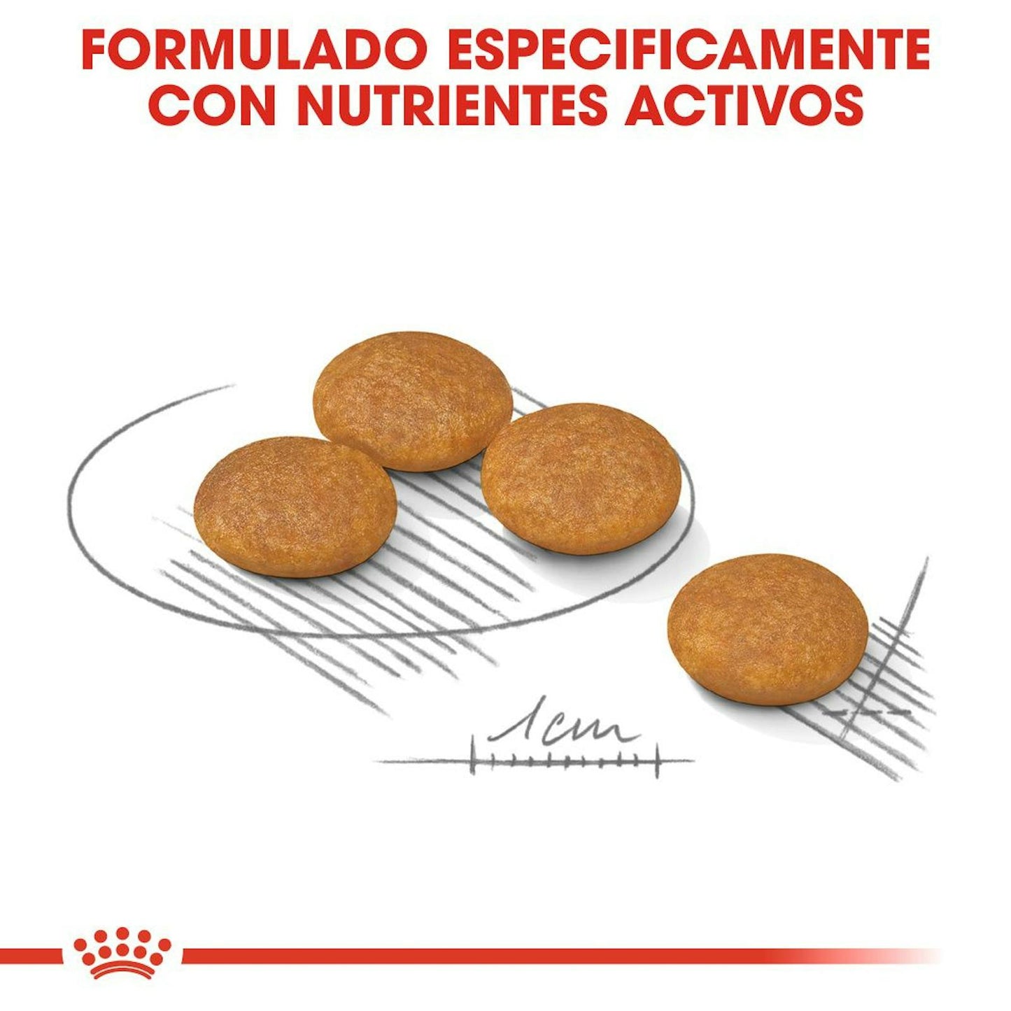 TEXTURA