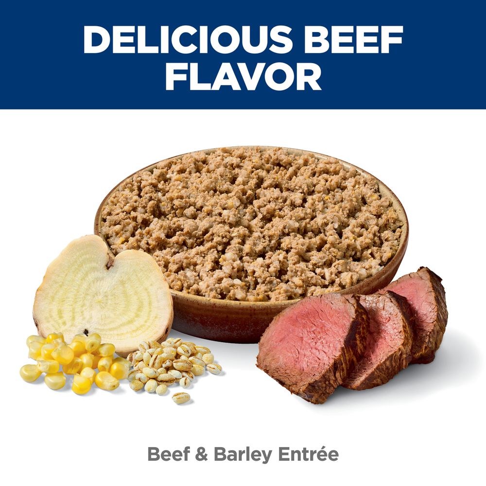 Hill's Science Diet Adult Beef Barley wet