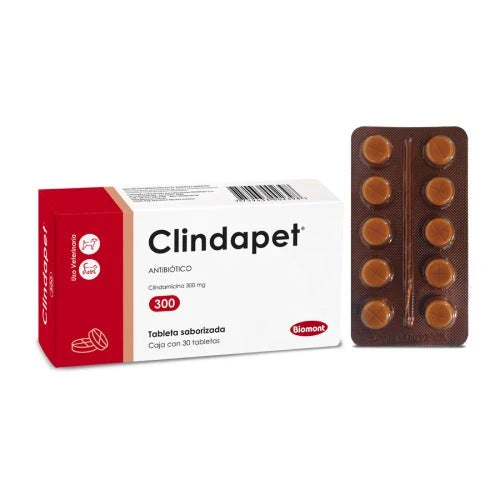 Biomont | Clindapet — presentación oficial 1