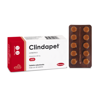 Biomont | Clindapet — presentación oficial 1