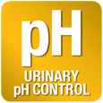 Monge VetSolution | Alimento seco para gatos Urinary Oxalate