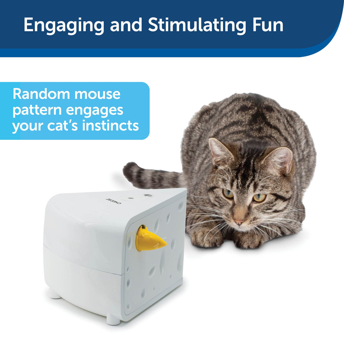 Cheese Automatic Cat Toy