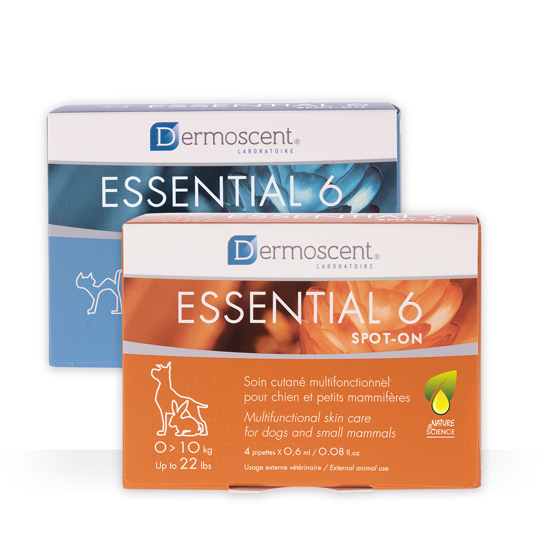Essential 6 spot-on — Gatos — 4 pipetas × 0.6 ml