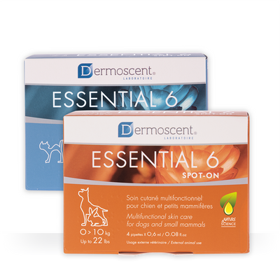 Essential 6 spot-on — Gatos — 4 pipetas × 0.6 ml