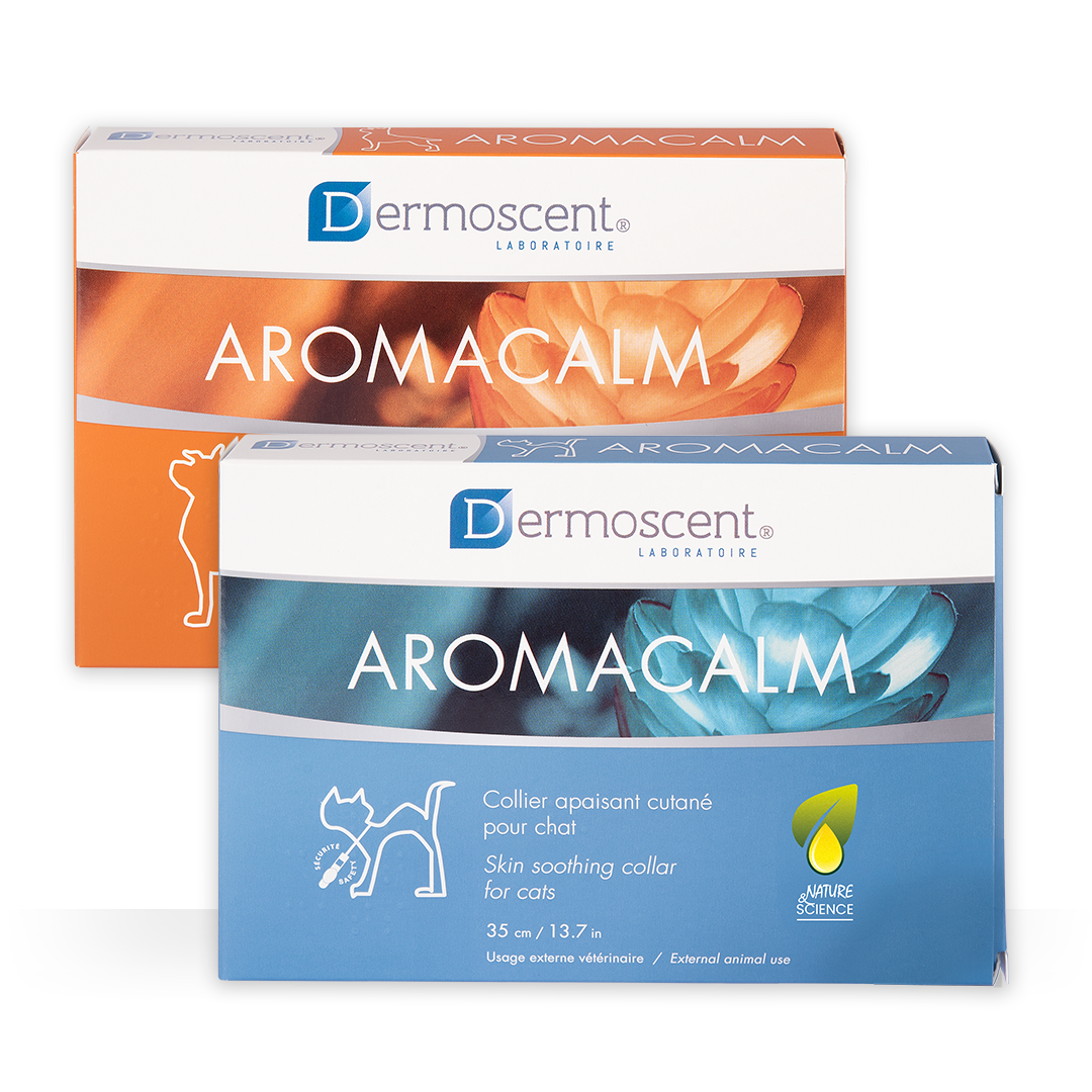 Aromacalm — Gatos — collar azul