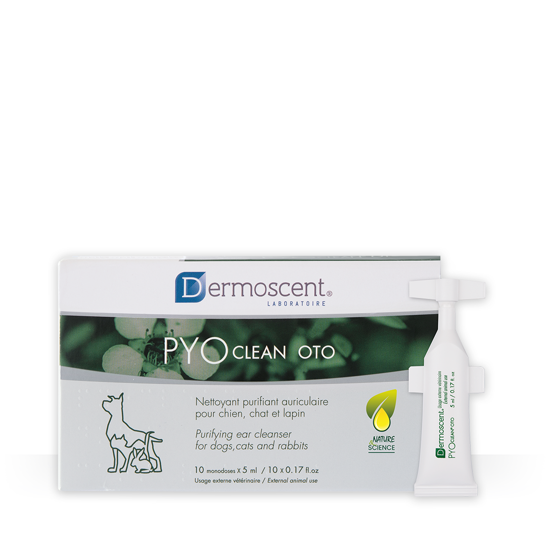 PYOclean Oto — 10 monodosis × 5 ml