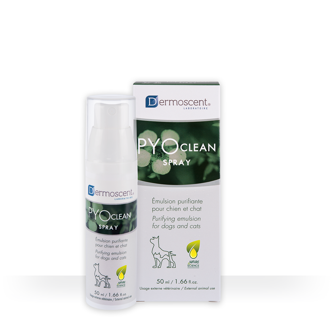 PYOclean Spray — 50 ml