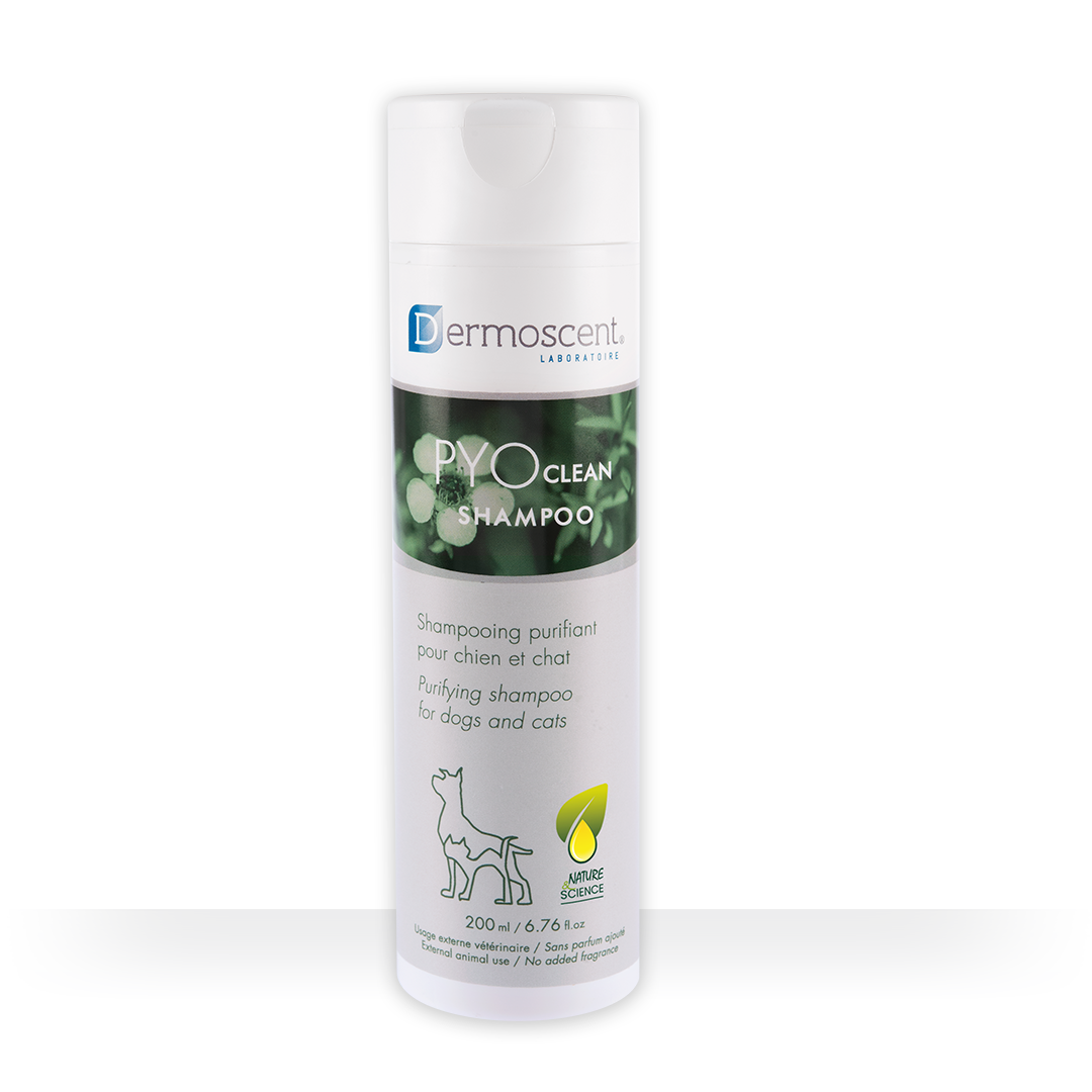 PYOclean Shampoo — 200 ml