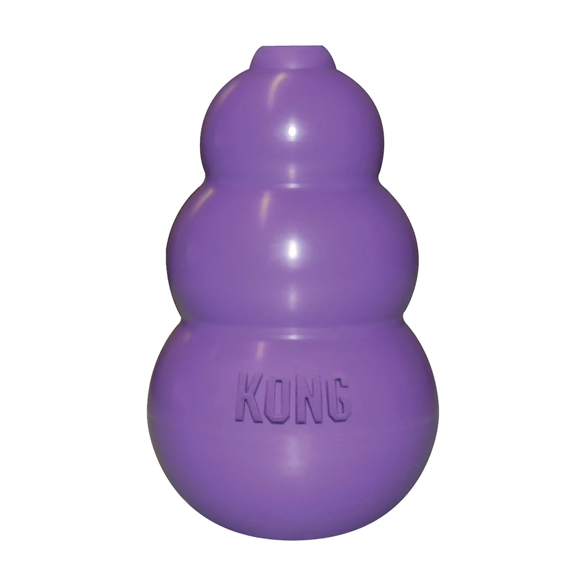 KONG — Kitty KONG