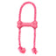 KONG Puppy Goodie Bone W/ROPE