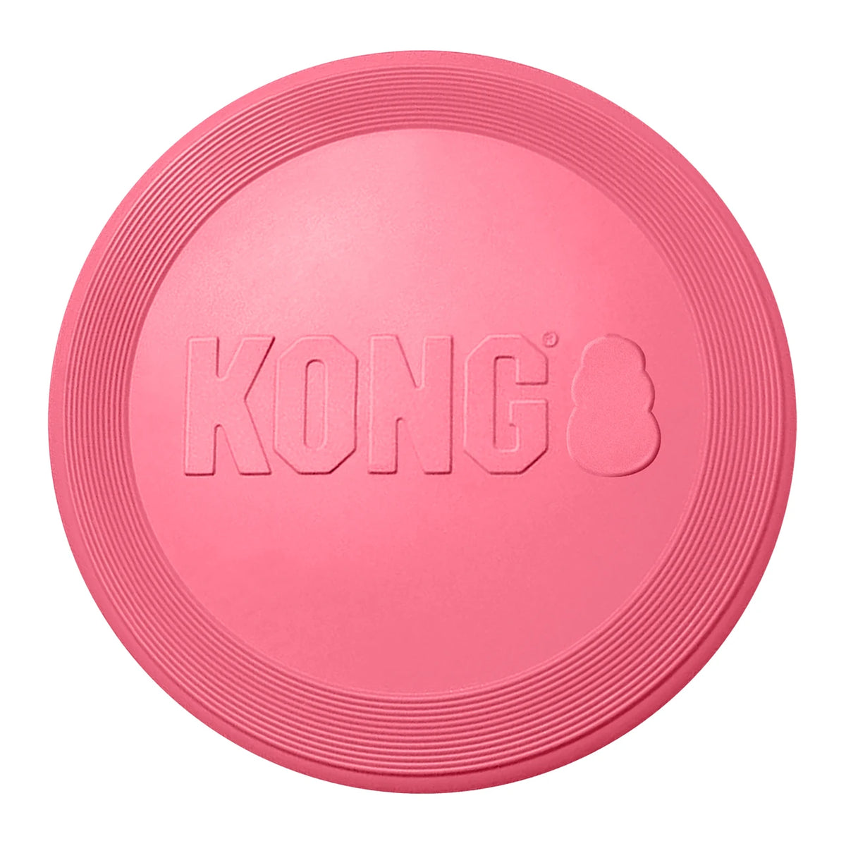 KONG Puppy Flyer