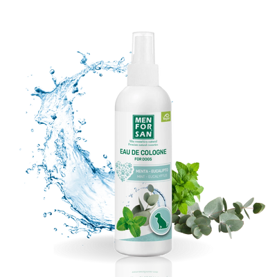 Agua de colonia para perros Menta - Eucalipto — 125 ml