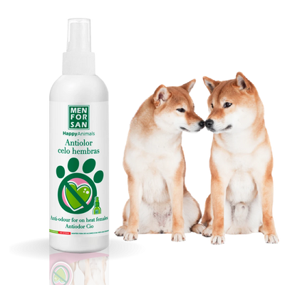 Antiolor Celo hembras para perros — 125 ml