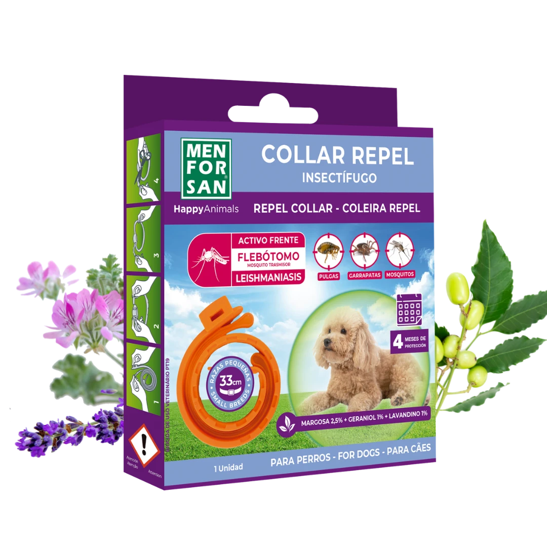 Collar Anti-insectos para razas pequeñas con margosa, geraniol y lavandino