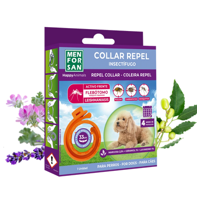 Collar Anti-insectos para razas pequeñas con margosa, geraniol y lavandino