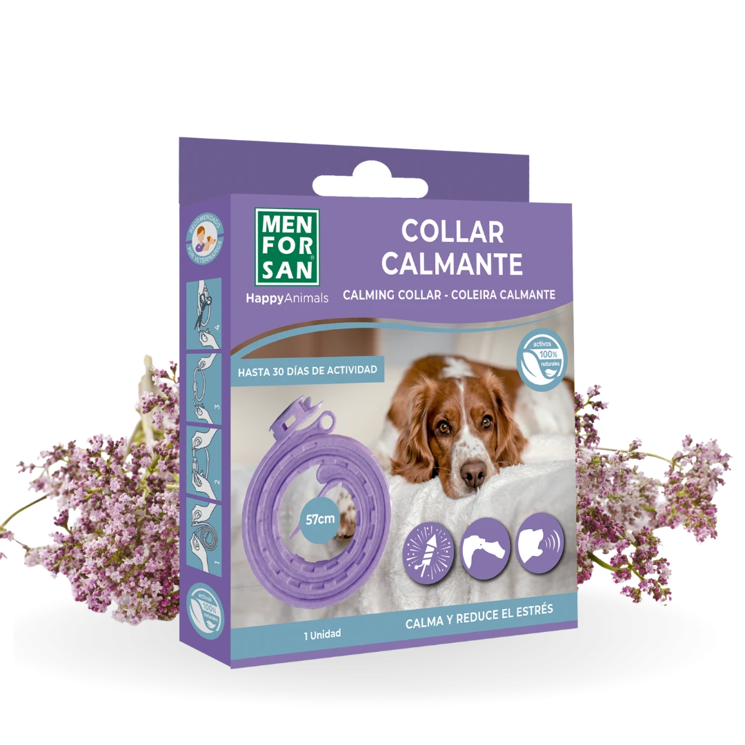 Collar calmante para perros