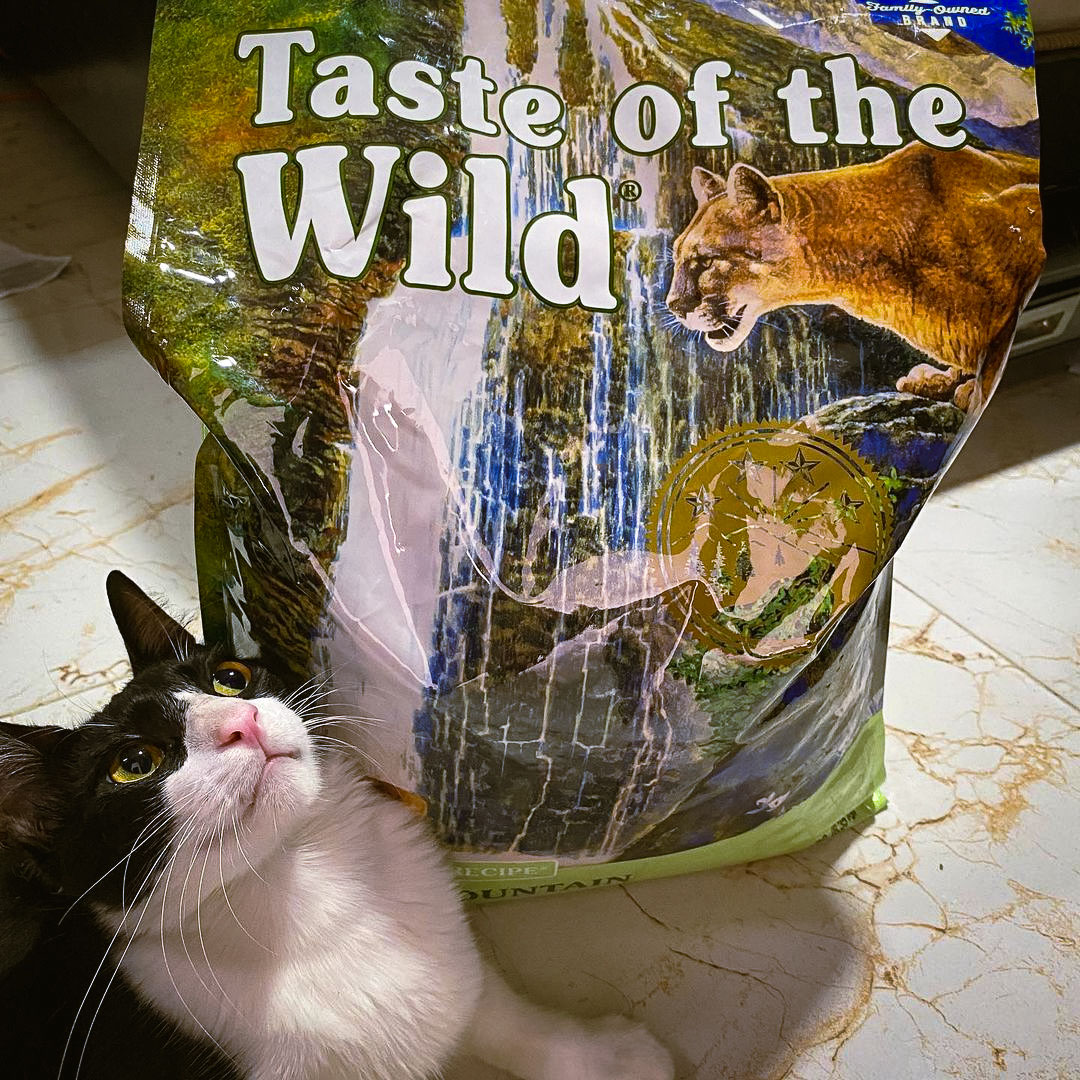 Taste of the Wild | Rocky Mountain gatos con venado asado y salmón ahumado