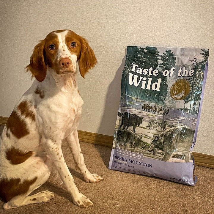 Taste of the Wild | Sierra Mountain todas las edades con cordero asado