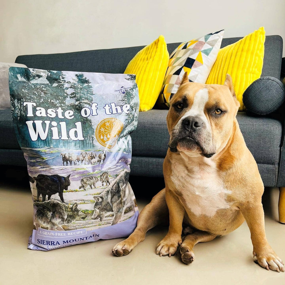 Taste of the Wild | Sierra Mountain todas las edades con cordero asado