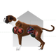 Canbo | DOG WEIGHT CONTROL CON POLLO T.RZ AD