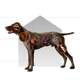 Canbo | DOG CON POLLO ARROZ T.RZ SENIOR