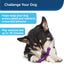Busy Buddy® Jack