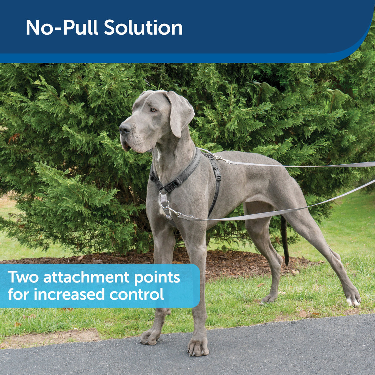 PetSafe 3 in 1 Harness