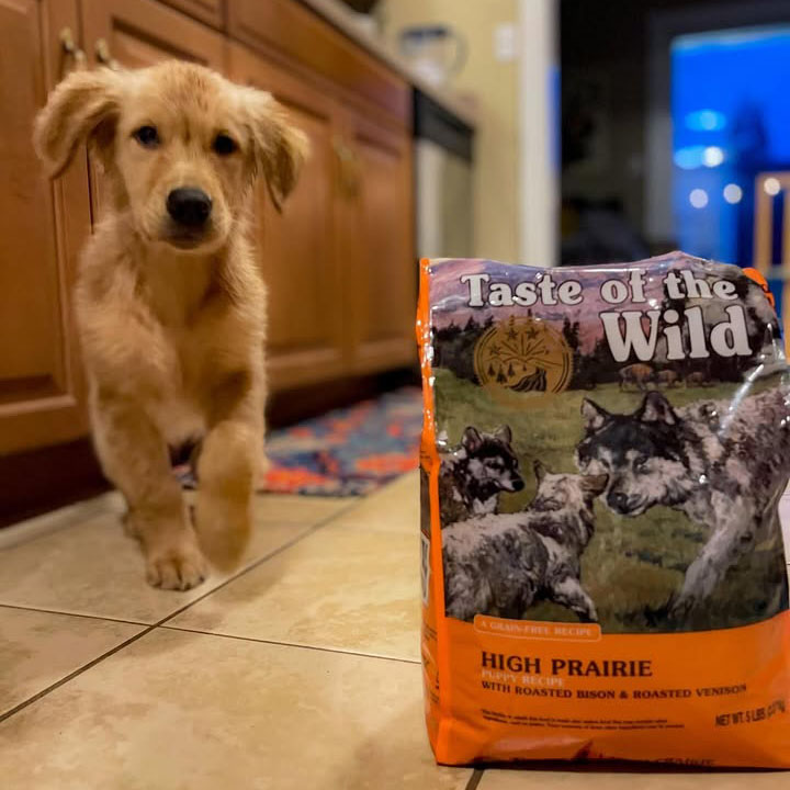 Taste of the Wild | High Prairie cachorros con bisonte y venado asados