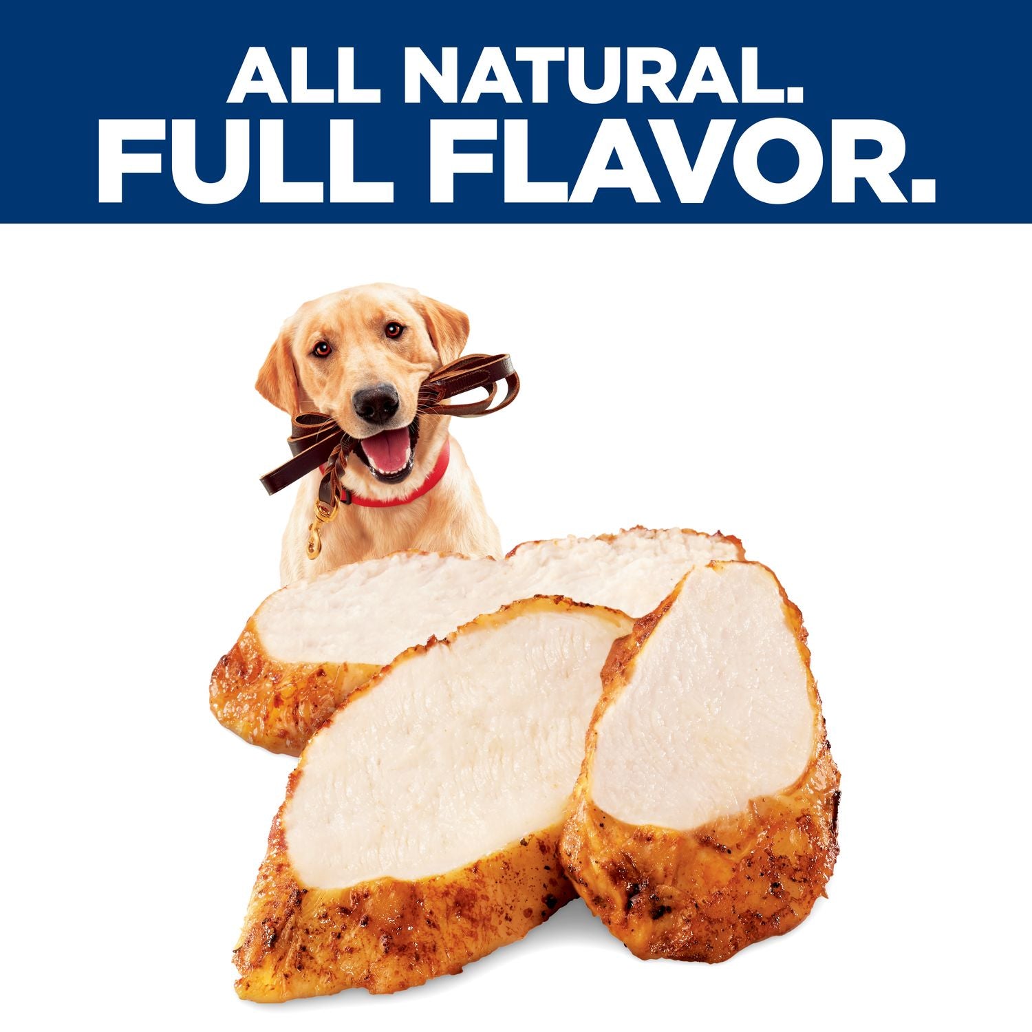 Hill's Natural | Premios para perros Training Treats Soft and Chewy