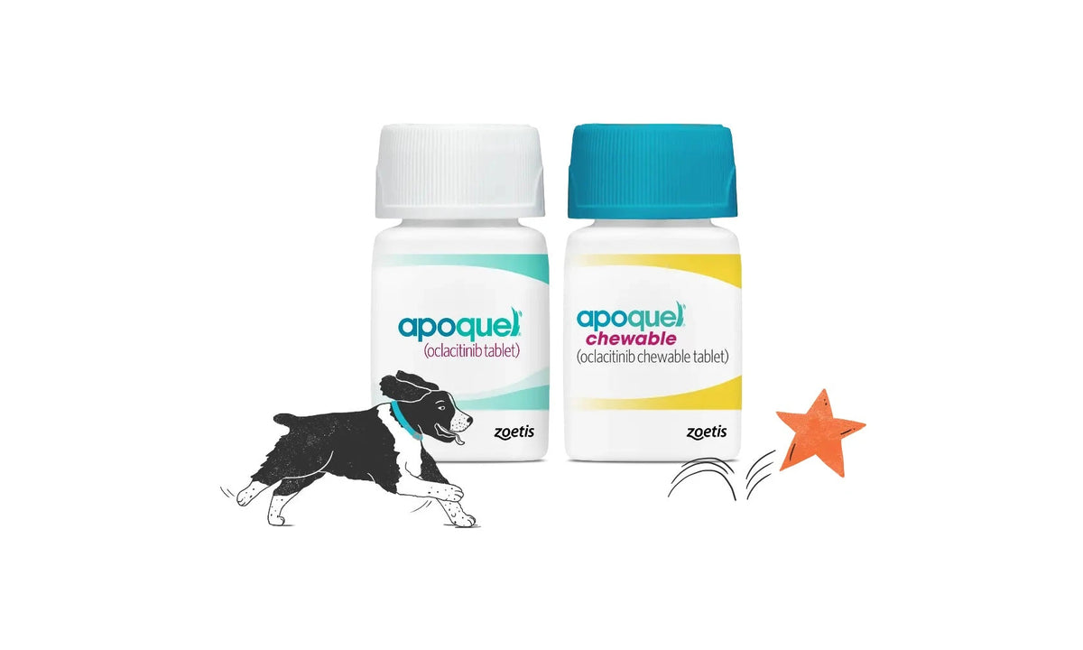 Apoquel y Apoquel masticable de Zoetis, presentaciones oficiales