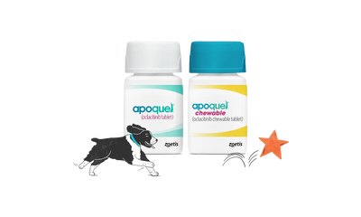 Apoquel y Apoquel masticable de Zoetis, presentaciones oficiales