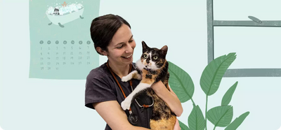 Solensia de Zoetis para el manejo veterinario de la osteoartritis felina