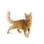 ROYAL CANIN | Alimento seco para gatos adultos Fit32