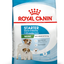 ROYAL CANIN | Alimento seco para perras madres de razas pequeñas Starter Mother & Babydog
